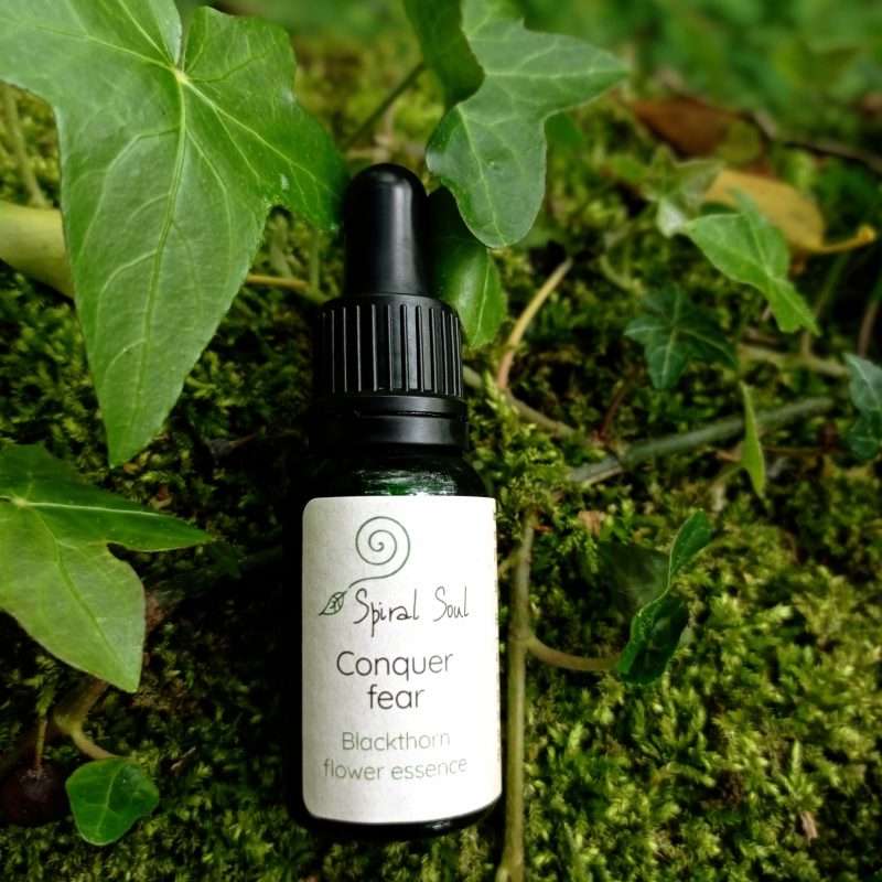 Blackthorn flower essence: conquer fear in the woods