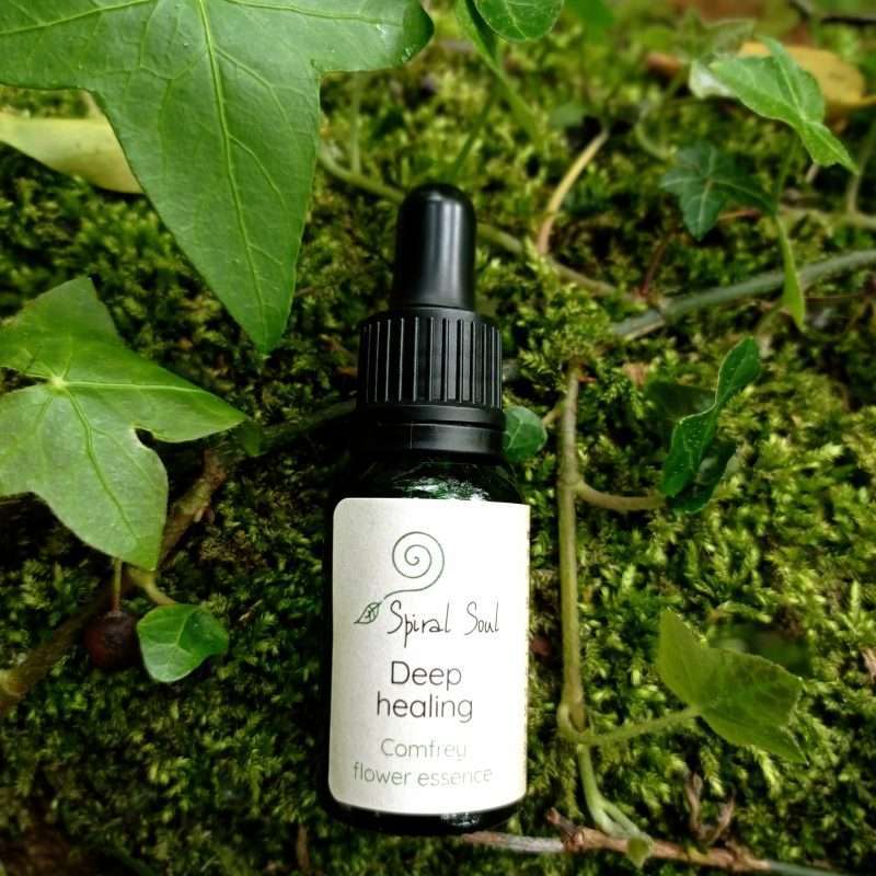 Deep Healing Comfrey Flower essence in woods