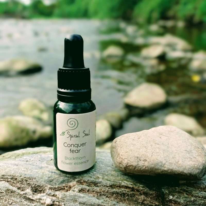 Blackthorn flower essence: conquer fear