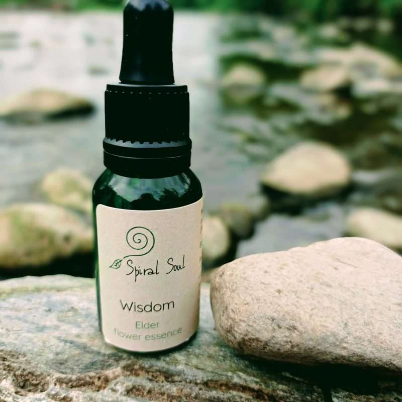 Wisdom: Elder Flower Essence