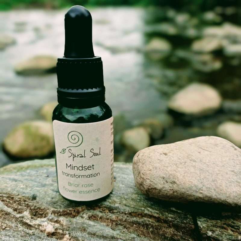 Briar Rose Flower Essence Mindset Transformation