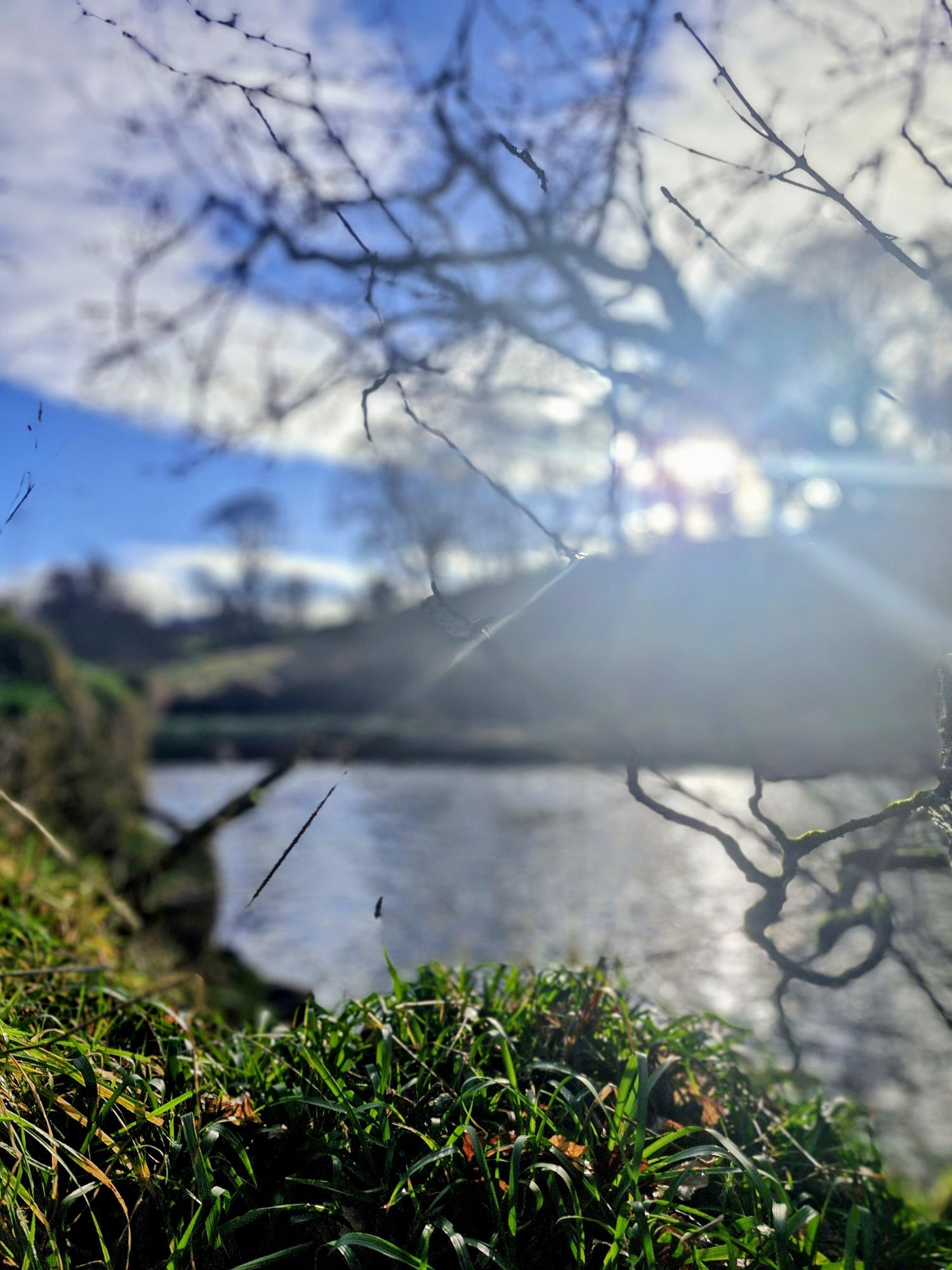 landscape photo